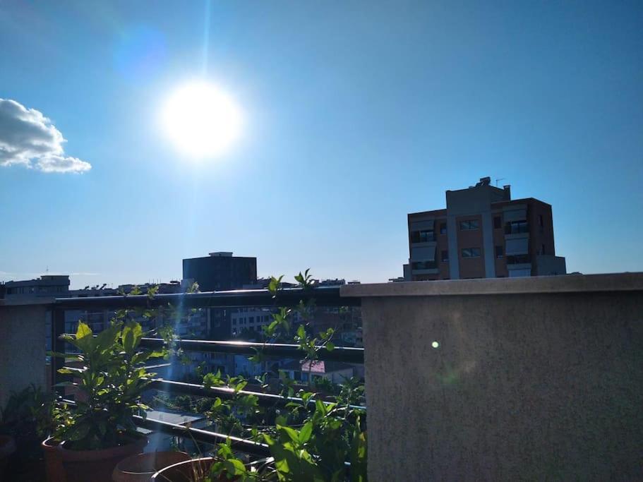 Corner Terrace Appartement